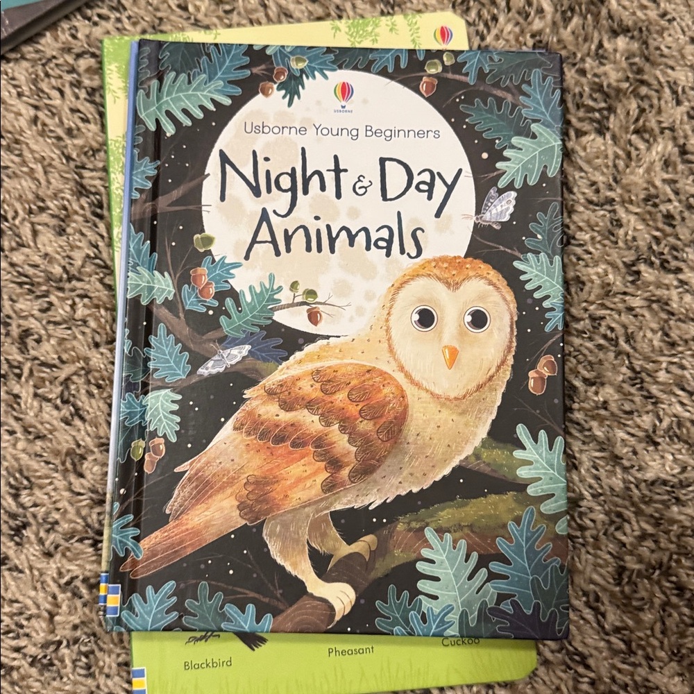 Children's Book Collection - Picture 3 of 11